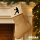 Weihnachtsstrumpf Handball Silhouette Beige