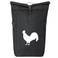 Kurierrucksack Hahn Silhouette 30-44 Liter Black Melange