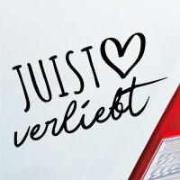 Autoaufkleber Juist verliebt  ca. 19x10cm