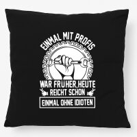 Kissen Einmal mit Profis war früher, heute reicht...