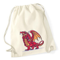 Turnbeutel Drache Comic 12 Liter