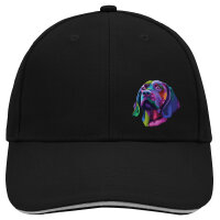 Kappe Labrador Colorful