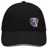 Kappe Golden Retriever Colorful