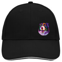Kappe Border Collie Colorful