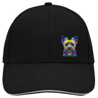 Kappe Yorkshire Terrier Colorful