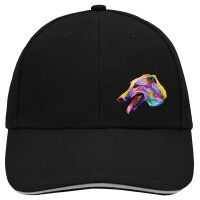 Kappe Greyhound Colorful
