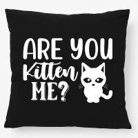 Kissen Are you kitten me Katze 40x40cm