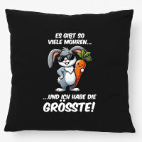 Kissen viele Möhren.. Ich habe die grösste cooler Hase 40x40cm