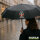 Regenschirm Bitte mach dass es entet Ente Meme 98cm Schwarz
