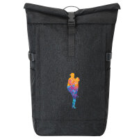 Kurierrucksack Baseball Pitcher bunte Silhouette 30-44...