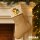 Weihnachtsstrumpf Quietscheente Wanderer Gummiente Hiking  Beige Jute