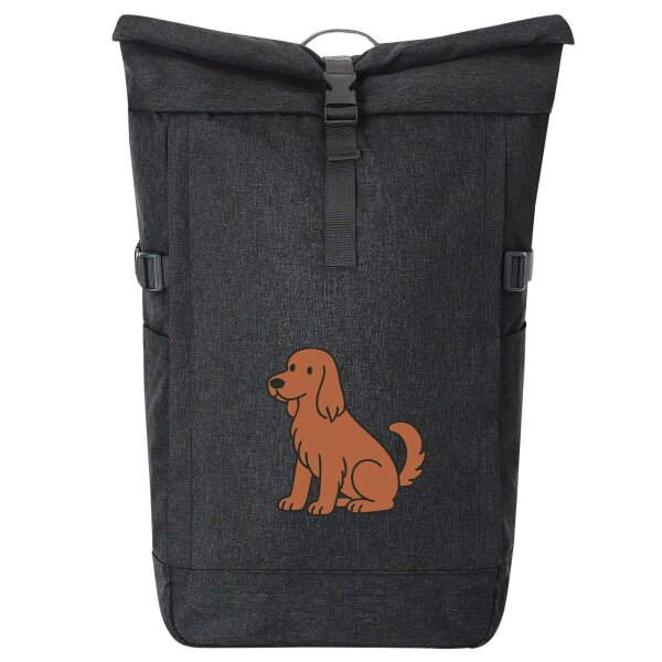 Kurierrucksack Irish Setter Comic Iri 30-44 Liter Black Melange