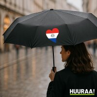 Regenschirm Paraguay Flagge Herz 98cm Schwarz