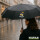 Regenschirm Königin 2028/29 Bierkrug Schüztenkönigin 98cm Schwarz