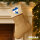 Weihnachtsstrumpf El Salvador Flagge Herz Beige Jute