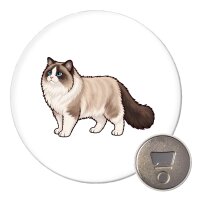 Magnet Ragdoll Comic 59mm K&uuml;hlschrankmagnet